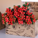Hypericum Pink
