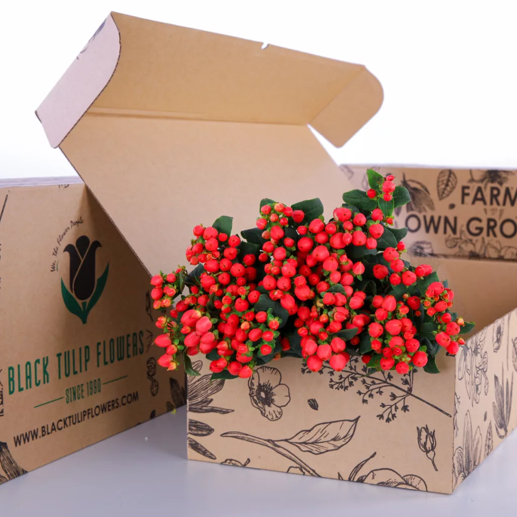 Hypericum Pink A cardboard box with a collection of Hypericum Pink flowers, featuring their striking pink hues and lush foliage.