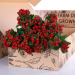 Hypericum Red