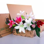 Lilies Mix