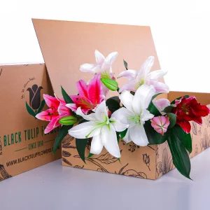 Lilies Mix