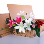 Lilies Mix 1 Lilies Mix