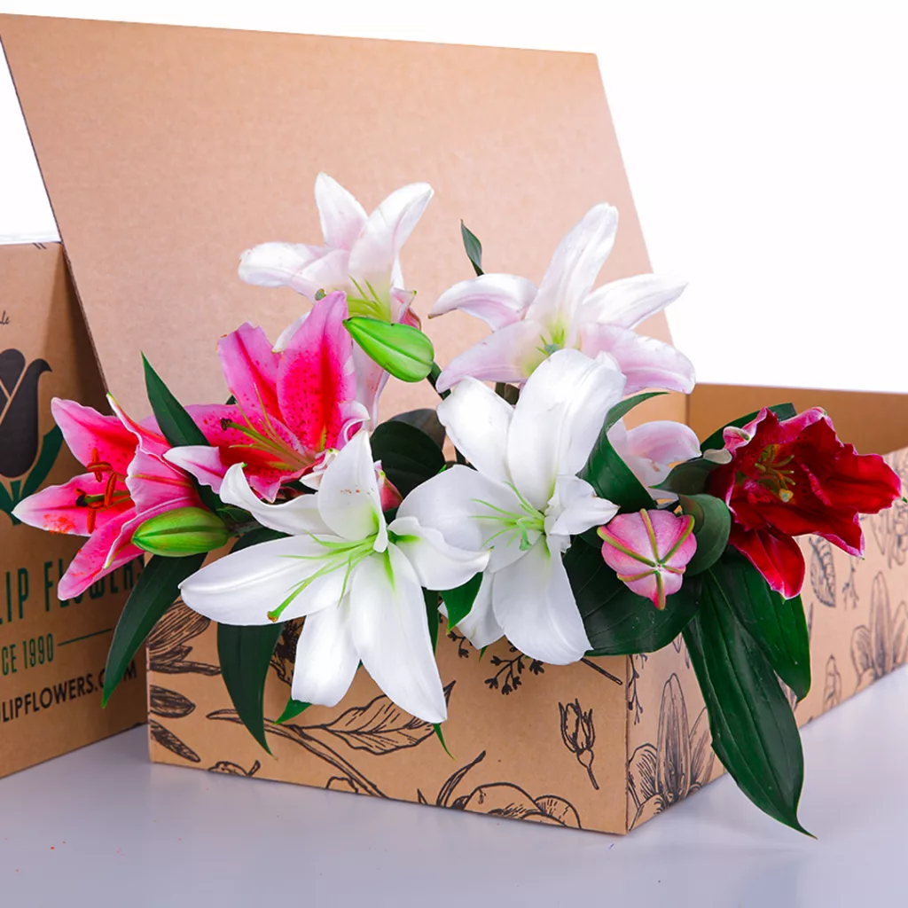 Lilies Mix Lilies Mix