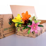 Lily Asiatic Mix