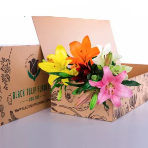 Lily Asiatic Mix