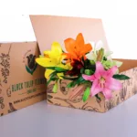 Lily Asiatic Mix