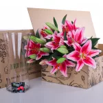 Lily Stargazer Pink