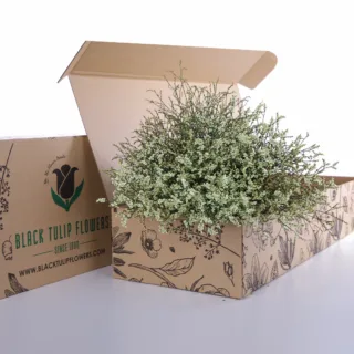 A cardboard box filled with vibrant yellow Limonium flowers, showcasing their delicate beauty and fresh appearance.