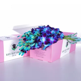 Bunch of Orchid Dendrobium Blue in a box with flower food- DIY kit