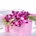 Orchids Dendrobium Purple in Pink Box 2 Orchid Dendrobium Purple
