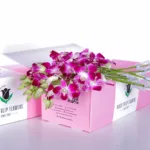 Orchids Dendrobium Purple in Pink Box 1 Orchid Dendrobium Purple