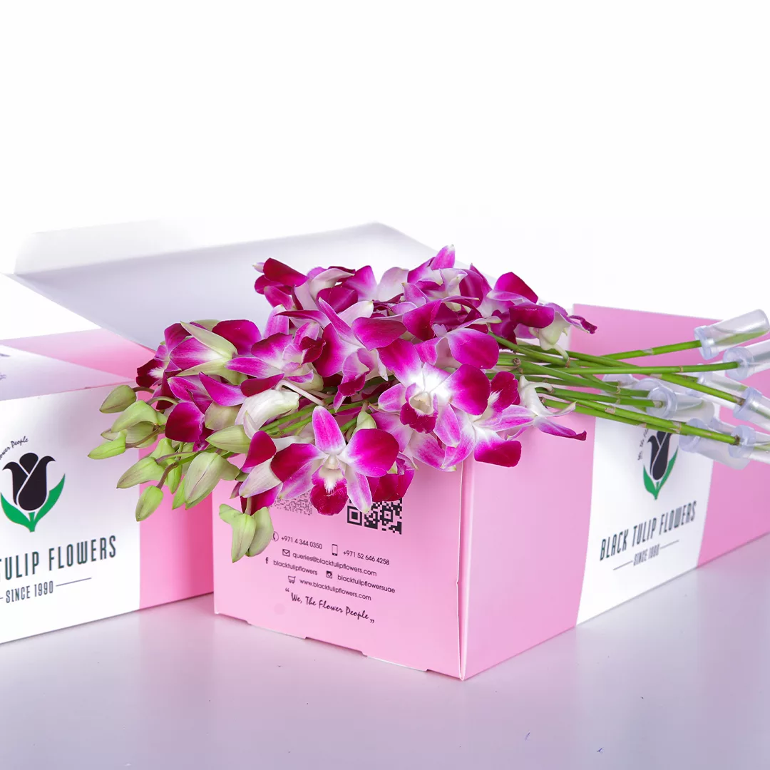Orchid florist deals