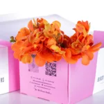 Orchid Mokara Isabel Orange 01