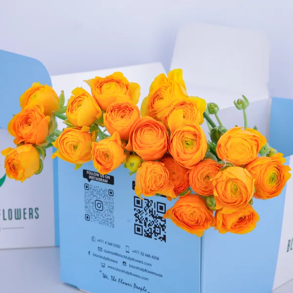 Ranunculus Yellow