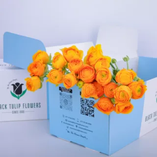 Ranunculus Yellow