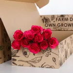Rose Dark Pink (4)
