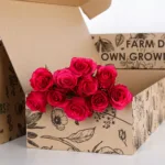Rose Dark Pink (4)