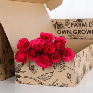 Rose Dark Pink