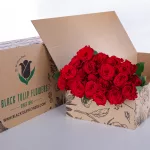 Rose - Red (Upper Class) 02