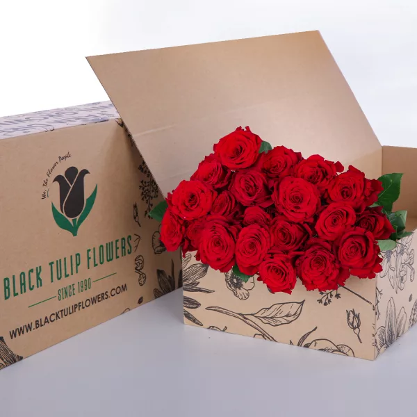 Rose - Red (Upper Class)