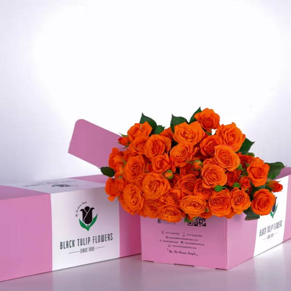Spray Rose Orange