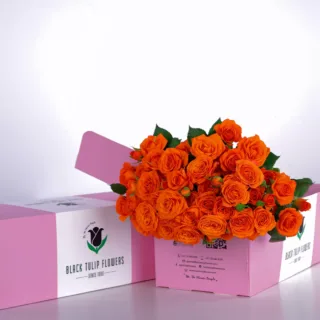 Bunch of 10 orange spray roses in a pink box with flower food.