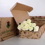 Rose White