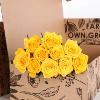 Rose Yellow