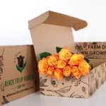 Rose Orange Double Color