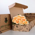 Rose Peach