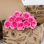 Rose Pink
