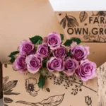 Rose Purple 2 Rose Purple