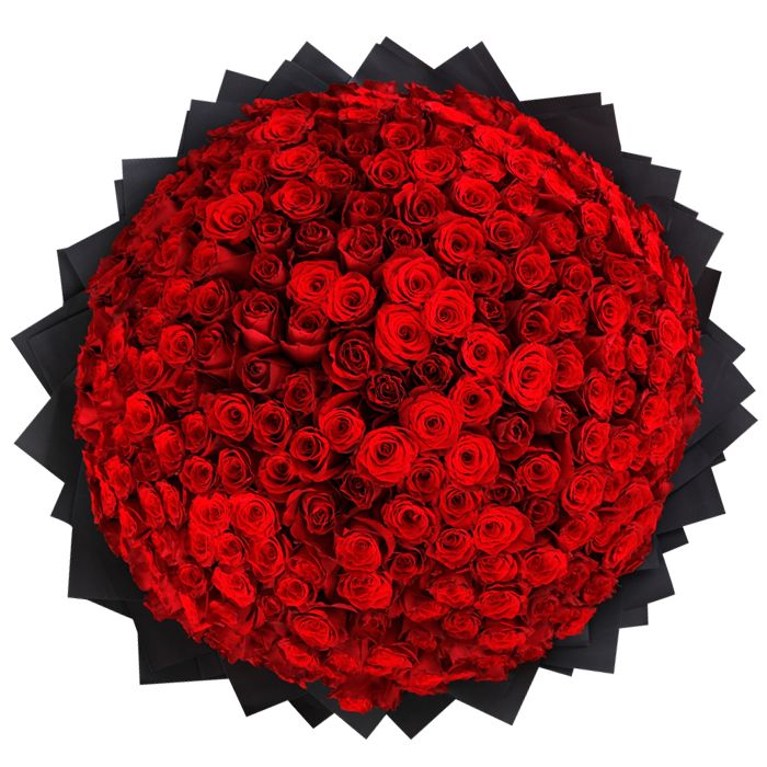Pure Love (500 Red Roses Bouquet ) by Black Tulip Flowers