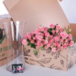 Spray Roses Pink Odilia with vase