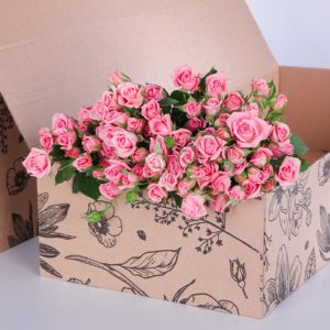 Spray Roses Pink Odilia with vase