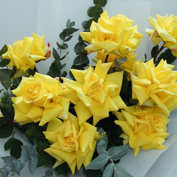 Bright Blossom