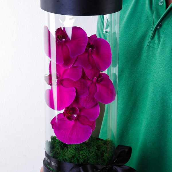Affectionate Phalaenopsis flower box by Black Tulip Flowers.
