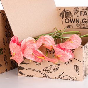 Anthurium Light Pink