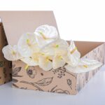 Anthurium White