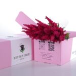 Astilbe Red 02