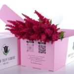 Astilbe Red 03