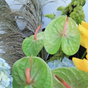 Astonishing Bouquet by Black Tulip Flowers