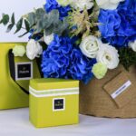 Azure and Ivory with Patchi (2)