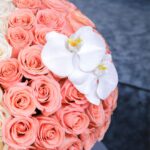 BT_FL_2146_ (3)