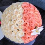 BT_FL_2146_ (4)