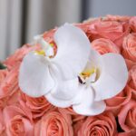 BT_FL_2147_ (5)