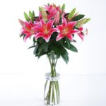 Blooming Lilies (1)