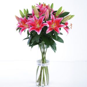 Blooming Lilies in a glass vase by Black Tulip Flowers
