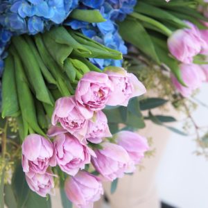 Blue and Purple Tandem by Black Tulip Flowers