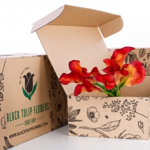 Callalily Orange